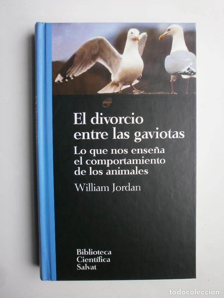 Libros antiguos: EL DIVORCIO ENTRE LAS GAVIOTAS - Foto 1