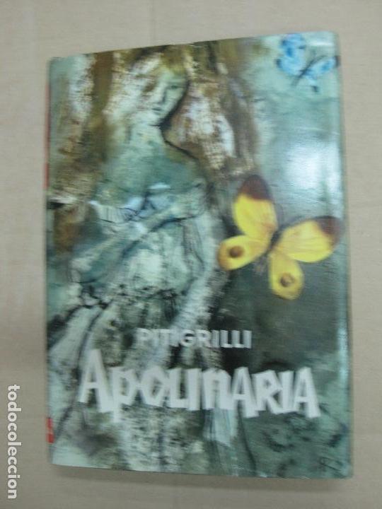 Libros antiguos: PITIGRILLI.  APOLINARIA. EDITORIAL PLANETA 1962. - Foto 1