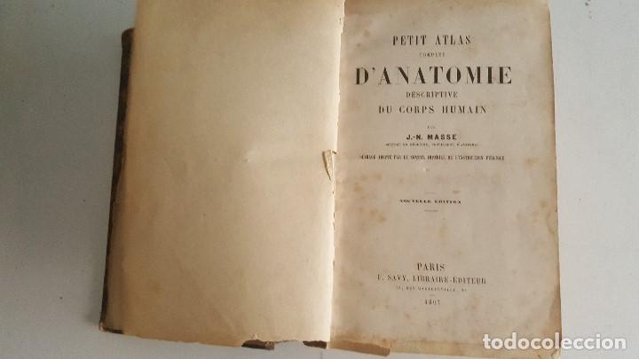 Libros antiguos: PETIT ATLAS COMPLET DANATOMIE HUMAIN- 1867- J.MASSE - Foto 2 - 91024185