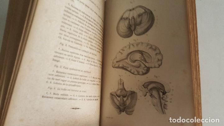 Libros antiguos: PETIT ATLAS COMPLET DANATOMIE HUMAIN- 1867- J.MASSE - Foto 4 - 91024185