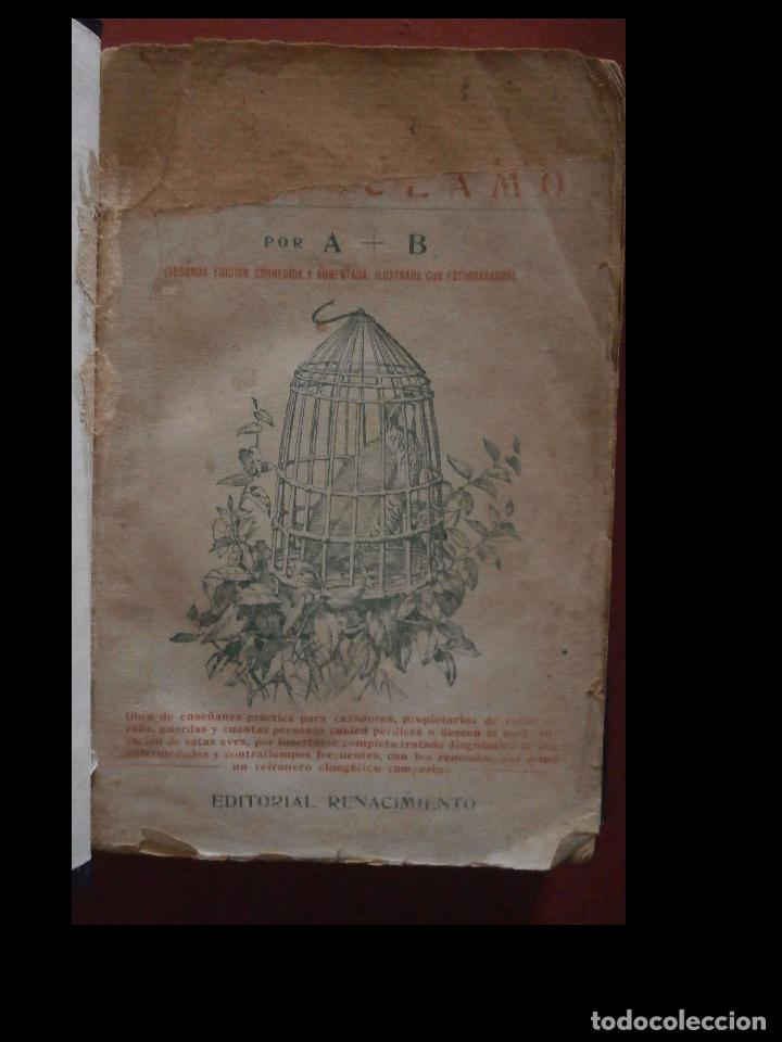 Libros antiguos: La caza de la perdiz con reclamo. A. B. - Foto 2
