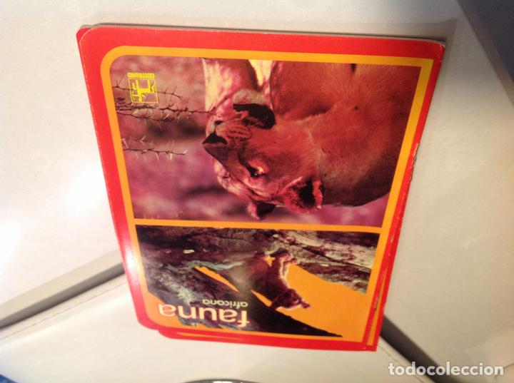 Libros antiguos: Cuadernillo de FELIX RODR&Iacute;GUEZ DE LA FUENTE - Foto 4