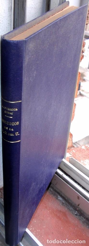 Libros antiguos: Moluscos Del Uruguay Catalogo Especies A. Formica Corsi 1900 SOLO WESTERN UNION