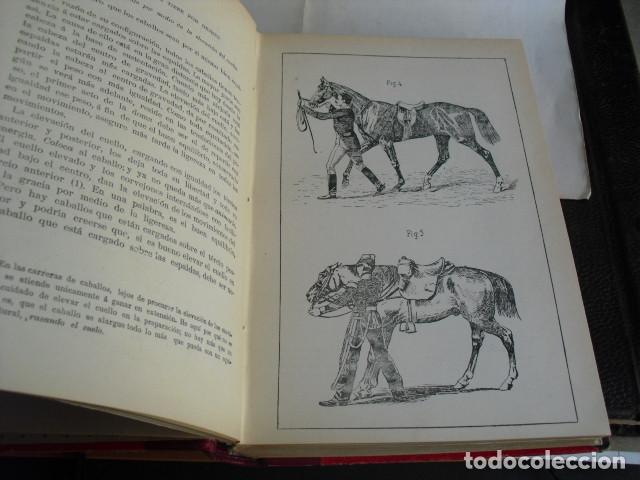 Libros antiguos: 1901 PRINCIPIOS DE DOMA Y EQUITACI&Oacute;N  J. FILLIS - Foto 3