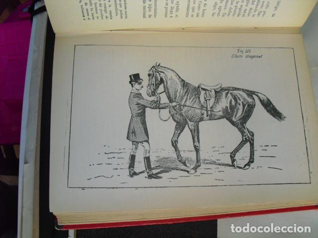 Libros antiguos: 1901 PRINCIPIOS DE DOMA Y EQUITACI&Oacute;N  J. FILLIS - Foto 4