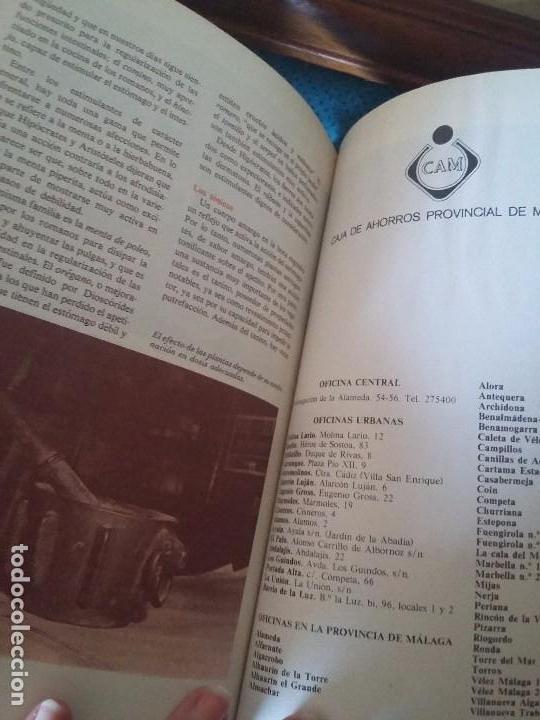 Libros antiguos: Gu&iacute;a del ama de casa - Foto 4