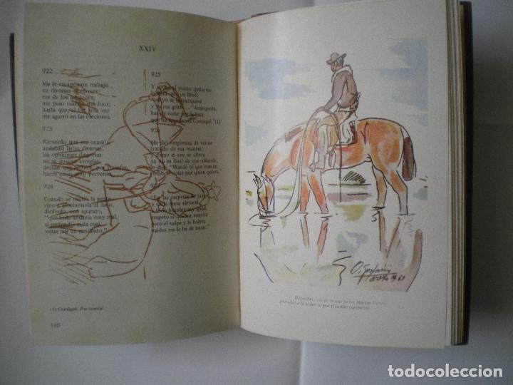 Libros antiguos: MARTIN FIERRO - Foto 2