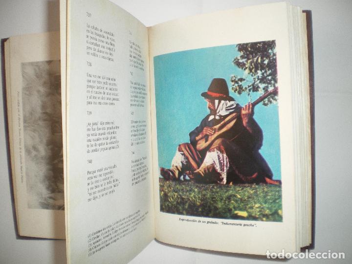 Libros antiguos: MARTIN FIERRO - Foto 4