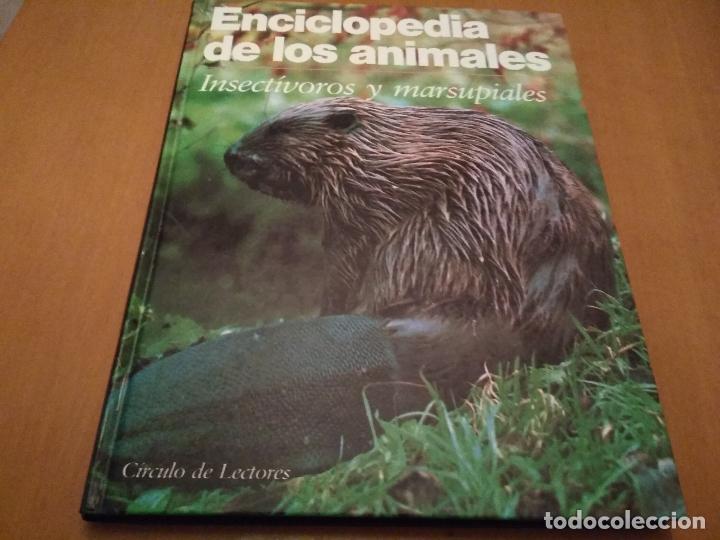 Libros antiguos: Insectivoros y marsupiales - Foto 1