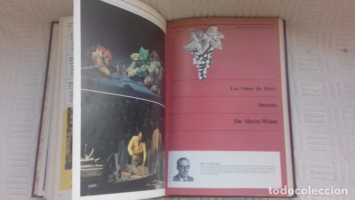 Libros antiguos: Anuario del vino espa&ntilde;ol - Foto 5