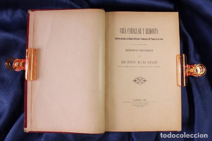 Libros antiguos: Libro Cr&iacute;a Caballar y Remonta. Eusebio Molina Serrano. 1899 - Foto 1