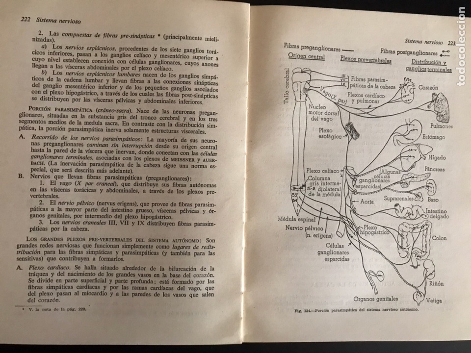 Libros antiguos: McDonald & Chusid. Compendio de Neuro-Anatom&iacute;a y neurolog&iacute;a funcional - Foto 2