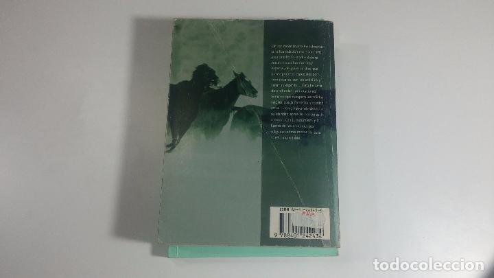 Libros antiguos: Lote de 6 extraordinarios libros - Foto 5