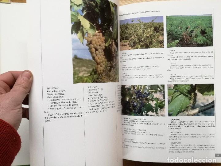 Libros antiguos: MUSEO DEL VINO DE LA RIOJA. - Foto 2