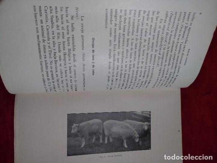 Libros antiguos: EL CARNERO JUAN HEYNE 1925 - Foto 2