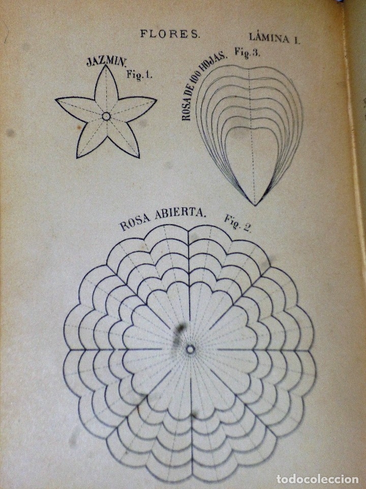 Libros antiguos: M&Eacute;TODO PR&Aacute;CTICO DE LABORES - Foto 3