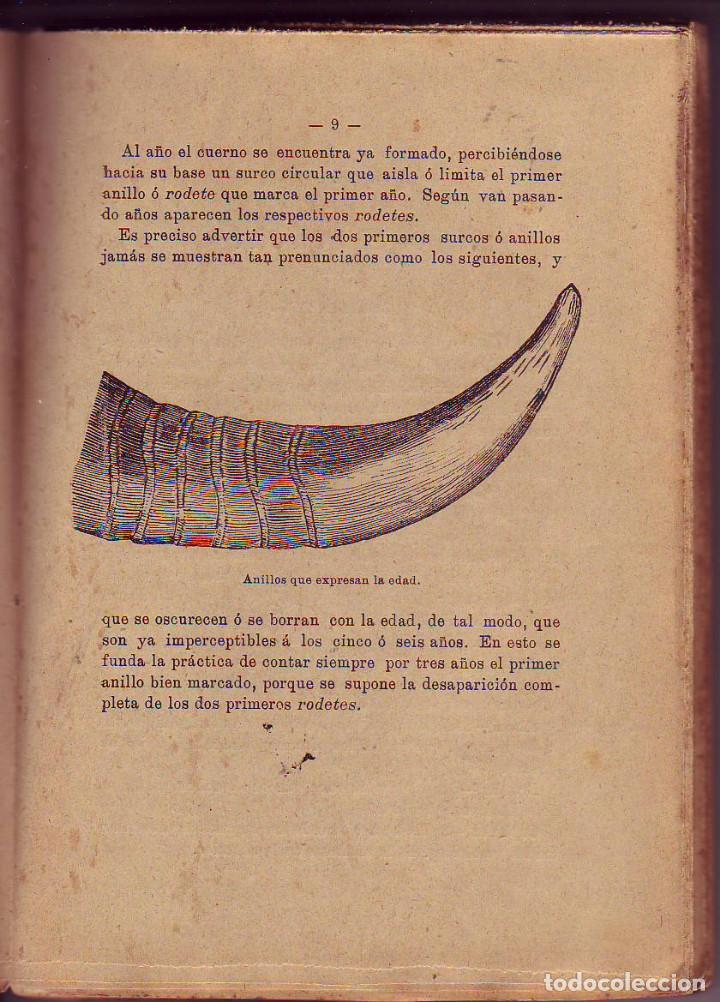 Libros antiguos: Manual practico del vaquero 1910 - Foto 2