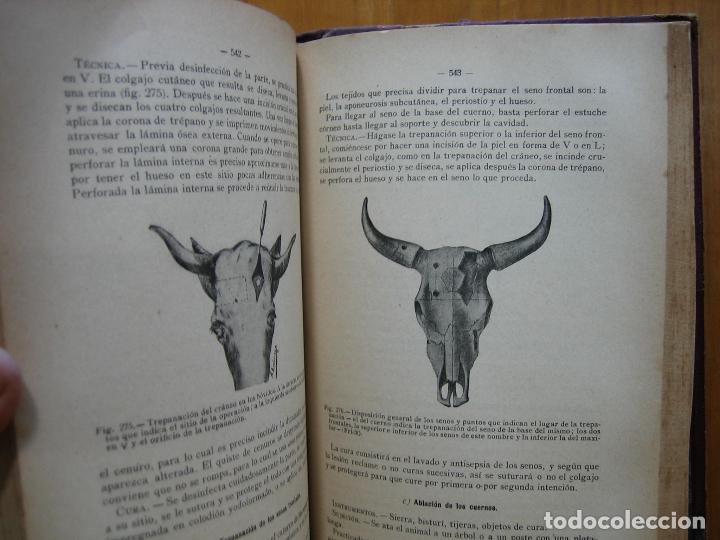 Libros antiguos: Compendio de cirug&iacute;a veterinaria 1916 - Foto 6
