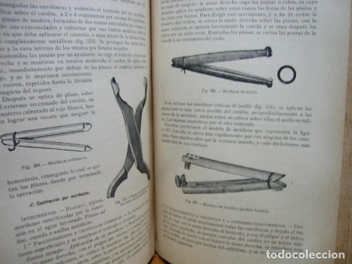 Libros antiguos: Compendio de cirug&iacute;a veterinaria 1916 - Foto 8