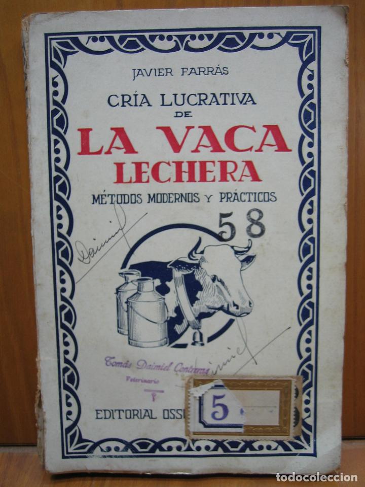 Libros antiguos: Antiguo libro cr&iacute;a lucrativa de la vaca lechera - Foto 1