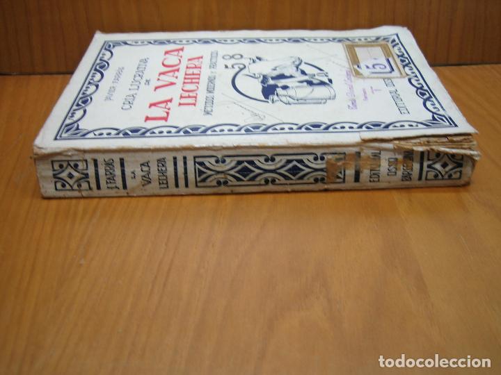 Libros antiguos: Antiguo libro cr&iacute;a lucrativa de la vaca lechera - Foto 3