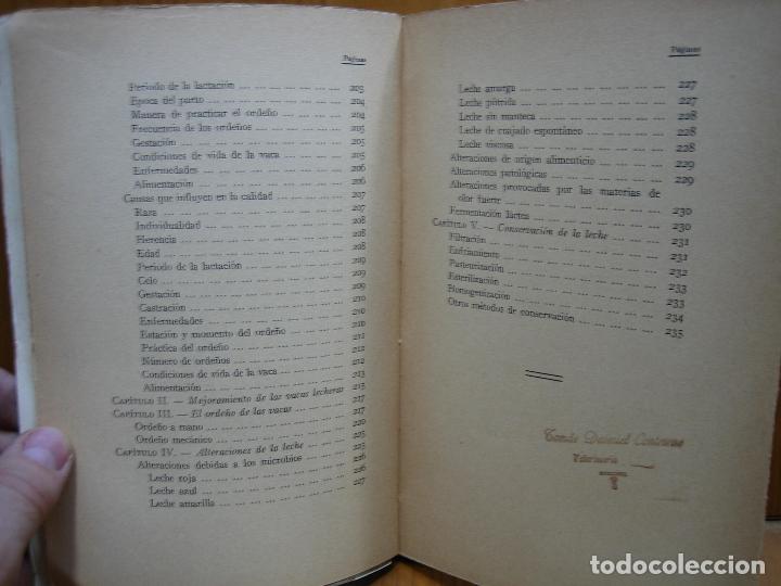 Libros antiguos: Antiguo libro cr&iacute;a lucrativa de la vaca lechera - Foto 6