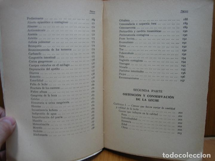 Libros antiguos: Antiguo libro cr&iacute;a lucrativa de la vaca lechera - Foto 7