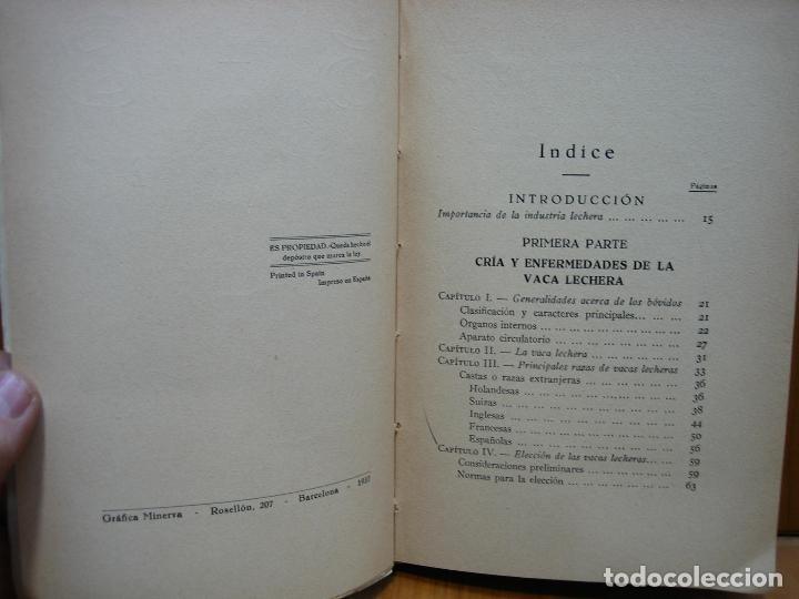 Libros antiguos: Antiguo libro cr&iacute;a lucrativa de la vaca lechera - Foto 8