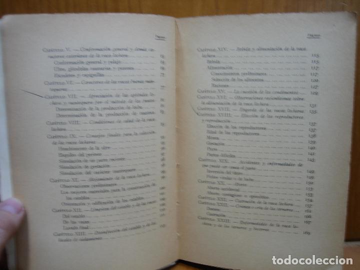 Libros antiguos: Antiguo libro cr&iacute;a lucrativa de la vaca lechera - Foto 9
