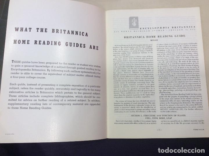 Libros antiguos: Botany - Foto 2