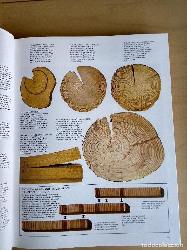 Libros antiguos: La madera. Hugh Johnson. - Foto 2