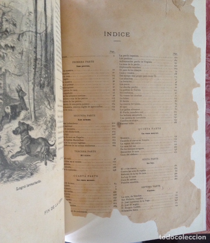 Libros antiguos: P&Aacute;GINAS DE CAZA ESPA&Ntilde;OLAS Y AMERICANAS. EVERO - Foto 4