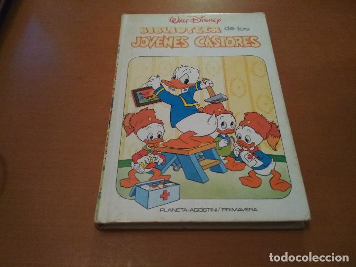 Libros antiguos: biblioteca de los jovenes castores - Foto 1