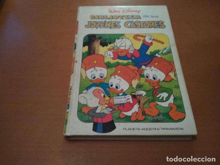 Libros antiguos: biblioteca de los jovenes castores - Foto 1