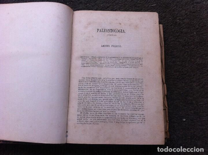 Libros antiguos: CURSO DE PALEONTOLOG&Iacute;A DE LA ESCUELA DE MINAS. - Foto 2