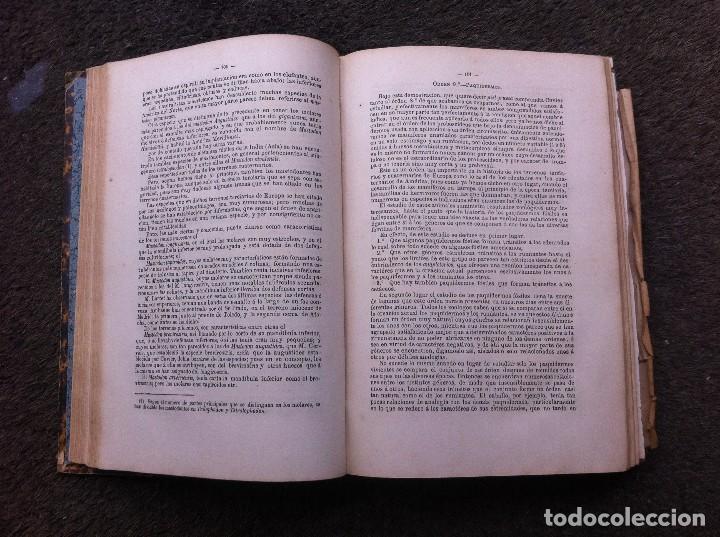 Libros antiguos: CURSO DE PALEONTOLOG&Iacute;A DE LA ESCUELA DE MINAS. - Foto 5
