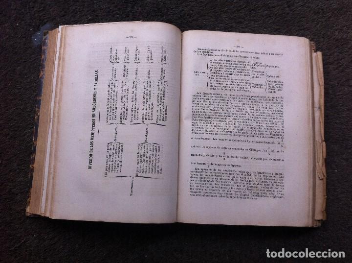 Libros antiguos: CURSO DE PALEONTOLOG&Iacute;A DE LA ESCUELA DE MINAS. - Foto 6