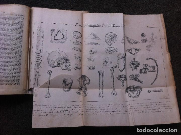 Libros antiguos: CURSO DE PALEONTOLOG&Iacute;A DE LA ESCUELA DE MINAS. - Foto 8