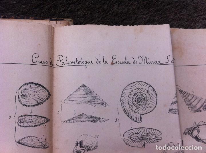 Libros antiguos: CURSO DE PALEONTOLOG&Iacute;A DE LA ESCUELA DE MINAS. - Foto 9