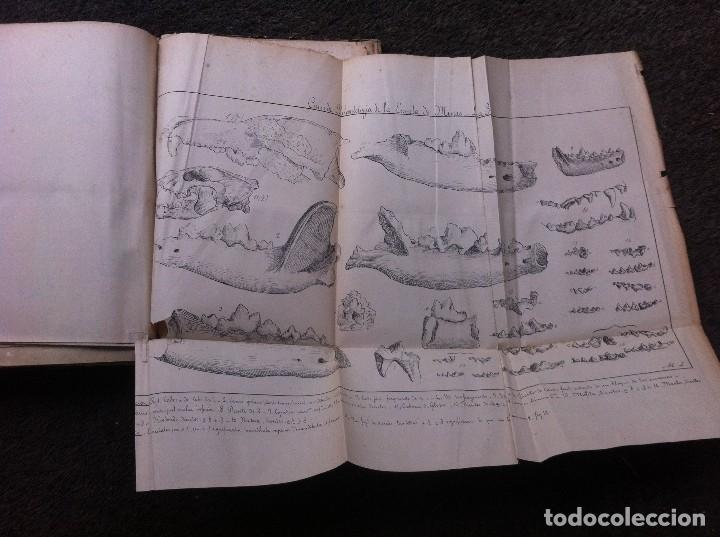 Libros antiguos: CURSO DE PALEONTOLOG&Iacute;A DE LA ESCUELA DE MINAS. - Foto 10