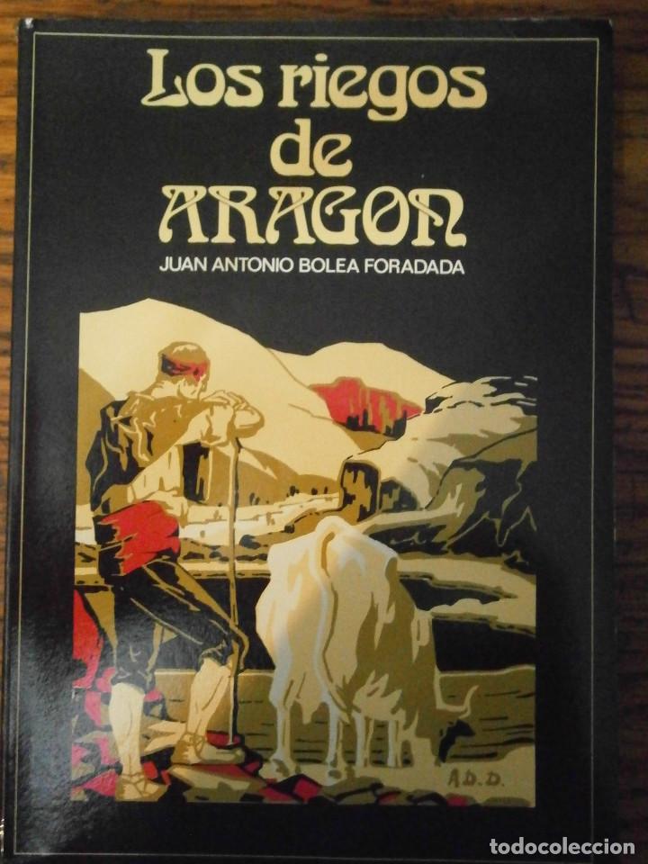 Libros antiguos: &iexcl;&iexcl;riesgos de aragon&iexcl;&iexcl; - Foto 1