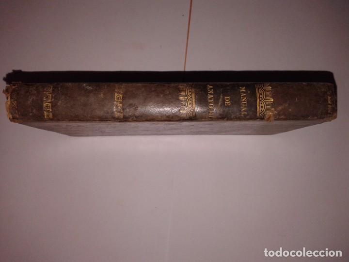 Libros antiguos: MANUAL DE ANATOMIA, JUAN FRANCISCO SANCHEZ, 1841 - Foto 2