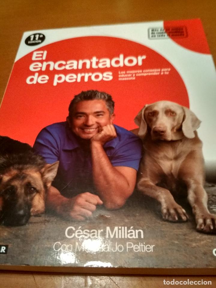 Libros antiguos: El encantador de perros - Foto 1