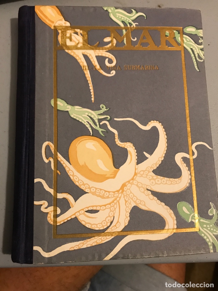 Old books: El mar la vida submarina
