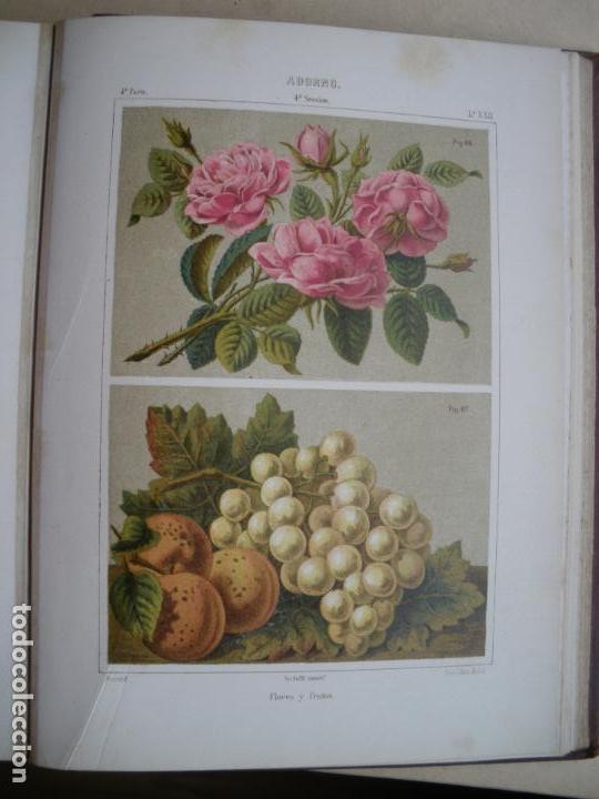 Libros antiguos: TRATADO DE DIBUJO. M. BORRELL. 1879. GRAN FORMATO - Foto 4
