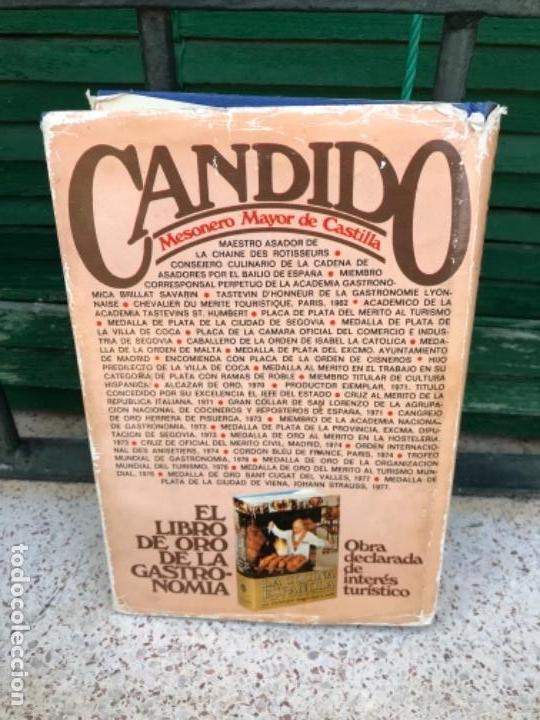 Libros antiguos: Recetas de cocina, Candido, 1980 - Foto 2