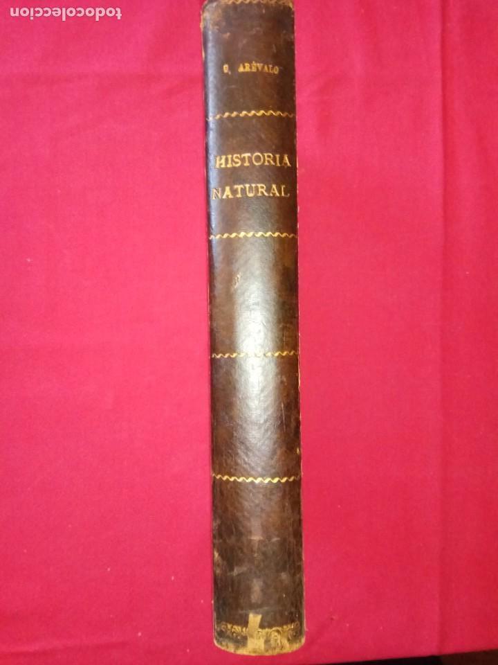 Antiquarische B&uuml;cher: TRATADO ELEMENTAL DE HISTORIA NATURAL-CESAR AREVALO.1920.