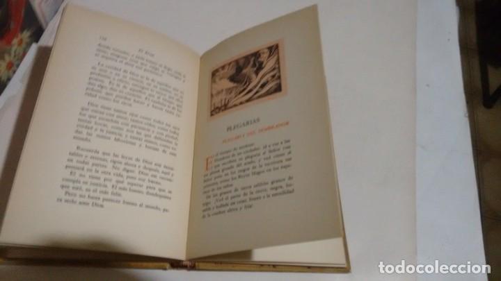Libros antiguos: CONSTANCIO C. VIGIL - EL ERIAL - Foto 3