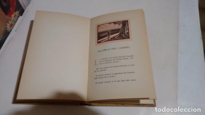 Libros antiguos: CONSTANCIO C. VIGIL - EL ERIAL - Foto 4