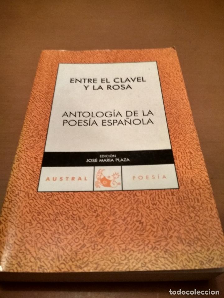 Libros antiguos: Entre el clavel y la rosa - Foto 1
